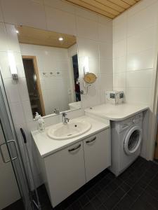 a bathroom with a washing machine and a sink at Chalet in Vierumäki with golf course view in Lahti +9 photos