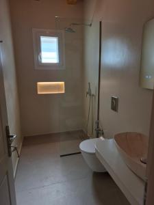 a bathroom with a shower and a toilet and a sink at Sun & Stones Suite in Agrari