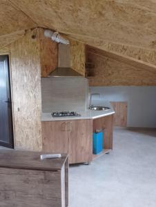 a kitchen with a sink and a stove in a room at Hotel Nia in Ureki