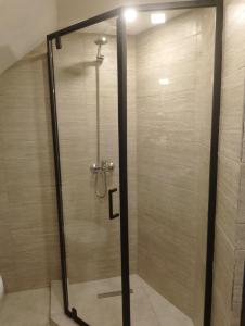 a shower with a glass door in a bathroom at Hotel Nia in Ureki +44 photos