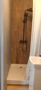 a bathroom with a shower and a sink at Sowia Dziupla in Zagórze Śląskie