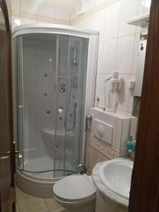 a bathroom with a shower and a toilet and a sink at Jahorina Ski View Apartman in Jahorina
