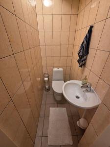 a small bathroom with a sink and a toilet at Lodja Jäägrimaja in Lodja