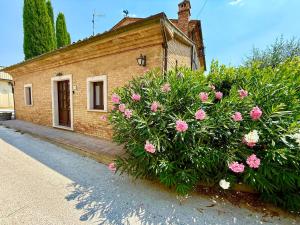 a brick house with pink flowers in front of it at Casa L Oleandro in Torrenieri