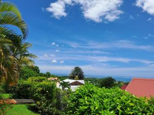 a view from the roof of a house with trees at Baobab in Sainte-Anne