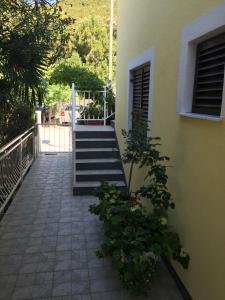 Zahrada ubytování Apartments Ljiljana
