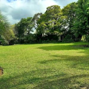 a large field of grass with trees in the background at Dopiro Lodge and Gardens in Nyanda