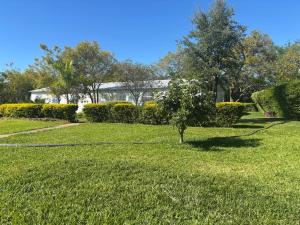 a tree in the middle of a grass field at Dopiro Lodge and Gardens in Nyanda