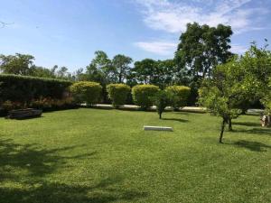a frisbee in the middle of a grass field at Dopiro Lodge and Gardens in Nyanda +5 photos