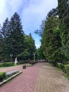 a brick road with trees in a park at Downtown Cozy Retreat - parcare inclusa in Vatra Dornei