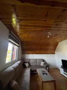 a living room with a couch and a table at Apartman JOVANA in Žabljak