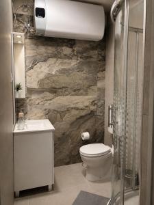 a bathroom with a toilet and a stone wall at Barcs Thermal Apartments in Barcs +34 photos