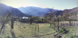 a field with trees and a house in the mountains at wila ZUNDAGA ზუნდაგა 1800 in Zundaga