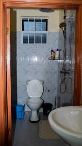 a bathroom with a toilet and a sink at Godly Homes 5km frm Weiteithie! 4BR mdrn home in Ruiru +41 photos