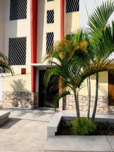 a palm tree in front of a building at La Posada Del Pajarito in Yurimaguas