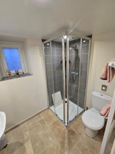 a bathroom with a shower and a toilet at L'Authentique in Mouzay