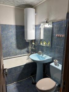 a bathroom with a toilet and a sink at Apartament Iulia in Orşova