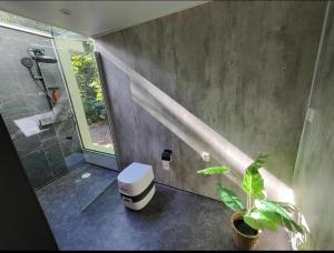 a bathroom with a shower and a toilet and a plant at Mysigt stuga med bastu in Edsvalla +29 photos
