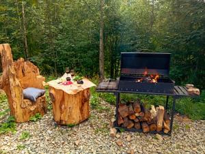 a picnic table and a grill with a table and logs at М'юзіка Карпат in Yavoriv