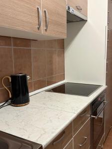 a kitchen with a counter top and a black appliance at Cartagena Urban Escape in Brčko