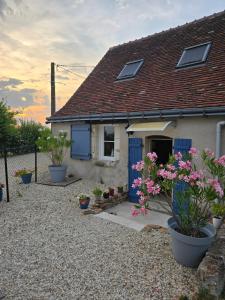 a small house with blue doors and flowers in pots at L'Authentique in Mouzay
