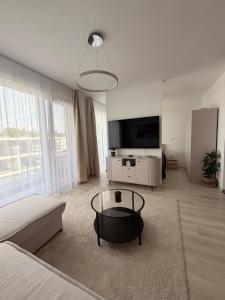 a living room with a couch and a tv at Waterfront studio in Balatonszemes