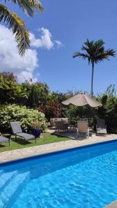 a swimming pool with chairs and an umbrella at Kaz'Iguan in Saint-François