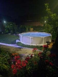 a boat in a yard at night with flowers at Casa Transilvania Tea in Orosia