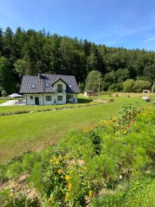 a house in the middle of a field with flowers at Apartamenty ARNIKA z sauną zewnętrzną in Lądek-Zdrój