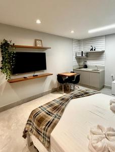 a bedroom with a large bed and a desk and a tv at Seridó Acomodações in Caicó +17 photos