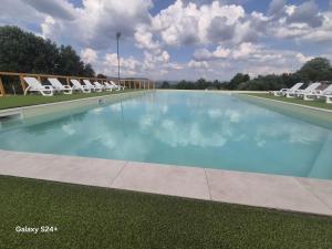 a large swimming pool with white lounge chairs on the grass at Căsuțele Ritei in Săpânța