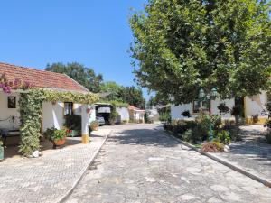 a cobblestone street in a small town with houses at Casinha Robusto in Salvaterra de Magos