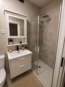 a bathroom with a shower and a sink and a toilet at Andalucía Suites in Almería