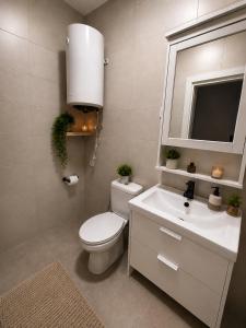 a bathroom with a toilet and a sink and a mirror at Andalucía Suites in Almería