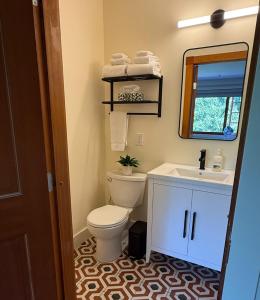 a bathroom with a toilet and a sink and a mirror at Artisan Suites on Bowen in Bowen Island