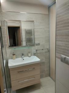 a bathroom with a sink and a shower at Apartman AK Slatinany in Chrudim +9 photos