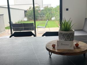 a plant in a pot sitting on a table at villa sam in Feyzin