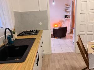 a kitchen with a sink and a stove top oven at Sunshine Privilège in Deshaies