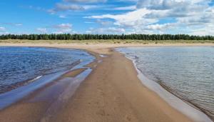 a sandy beach with water and trees in the background at Private apartment in Kokkola