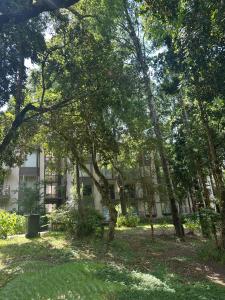 an apartment building with trees in front of it at Departamento Pucon Parque in Pucón