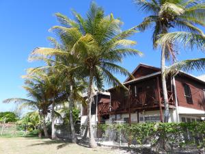 a house with palm trees in front of it at Green Garden Apartment in Christ Church