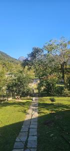 a dog walking down a path in a park at Pousada Paraíso Guapi in Guapimirim