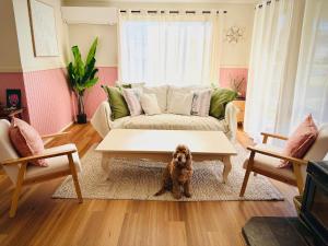 a dog sitting in a living room with a coffee table at Shell Shack in Tomakin