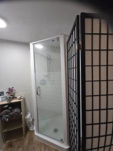 a shower with a glass door in a bathroom at Affordable pit stop Te Horo Beach in Te Horo