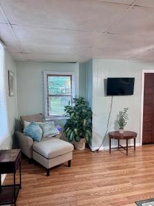 a living room with a couch and a tv at Downtown 2 BR Cottage Close to IU in Bloomington +3 photos