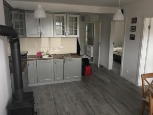 Kuchyňa alebo kuchynka v ubytovaní Apartament Danusia