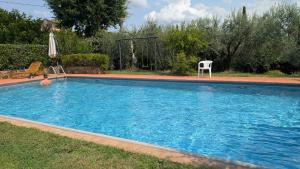 a large blue swimming pool with a chair and an umbrella at Agriturismo Amici Miei in Lastra a Signa