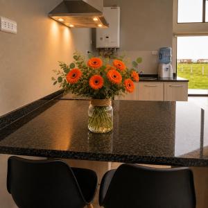 a vase of orange flowers on a counter in a kitchen at Cabaña Julián Elias Verde in Puerto Natales