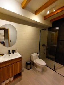 a bathroom with a toilet and a shower and a sink at Cabaña Lafken in Panguipulli +5 photos