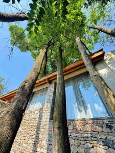 two trees standing in front of a house at Zhiye Resort Hotel in Guanling